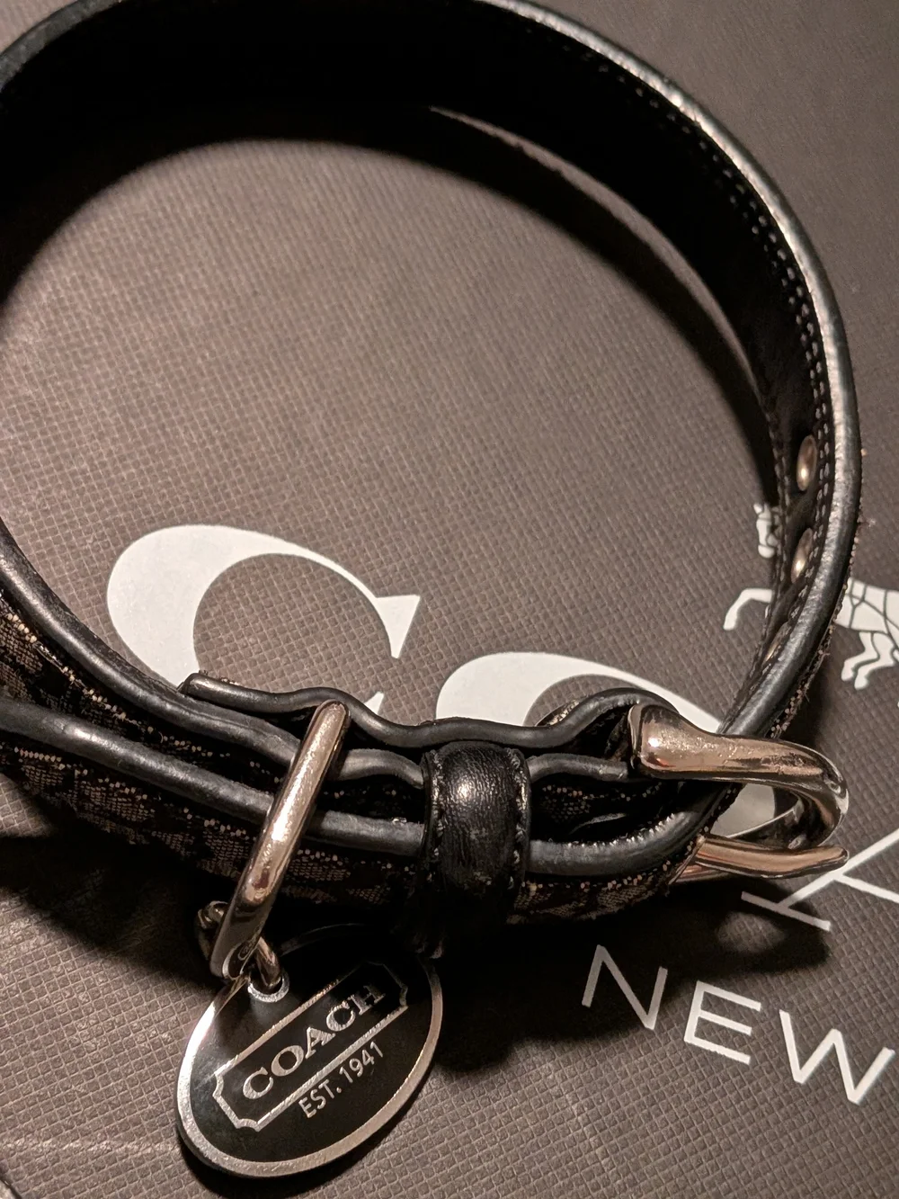 Coach nwot stunning